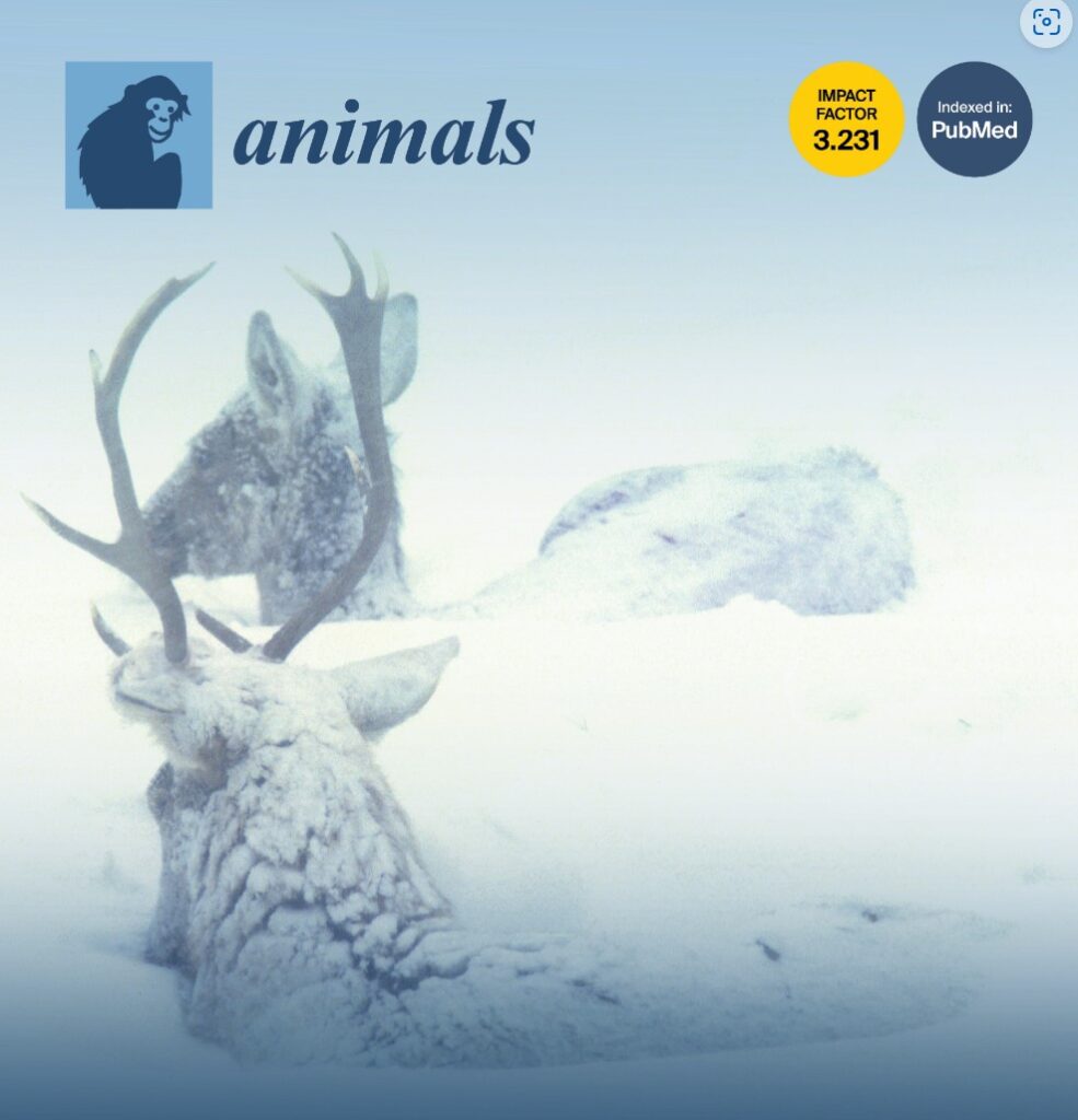 Incidence, Etiology, and Risk Factors of Clinical Mastitis in Dairy Cows under Semi-Tropical Circumstances in Chattogram, Bangladesh by Singha et al., (2021)