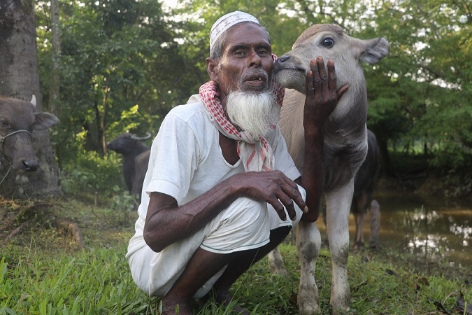 Field Visit to Subarnachar, Noakhali: Explore Diversified Buffalo Rearing System