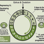 28-Figure1-1